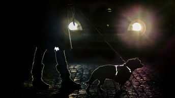 Jalankulkijan heijastin on Vuosisadan Liikenneteko