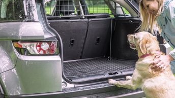 Travall-koiraverkon avulla koirasi matkustaa turvallisesti autossa