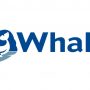 Whale Pumps vesi- ja lämmitysratkaisut Kahan valikoimassa