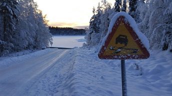 Kuinka varautua pitkään ajomatkaan? Talviloman muistilista autoilijalle